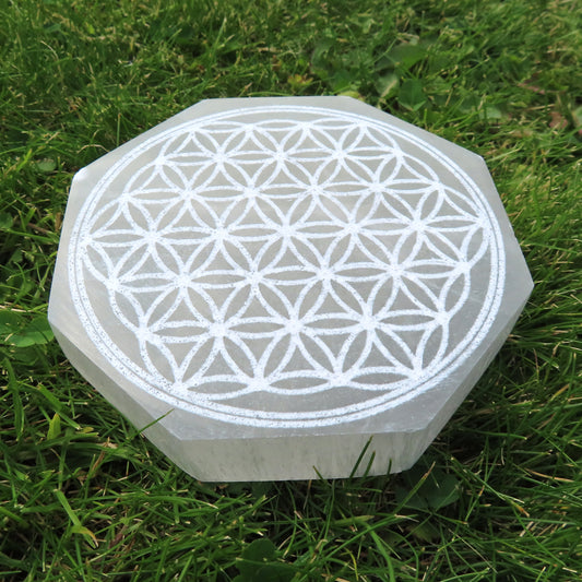 Selenite / Satin Spar Charging Plate