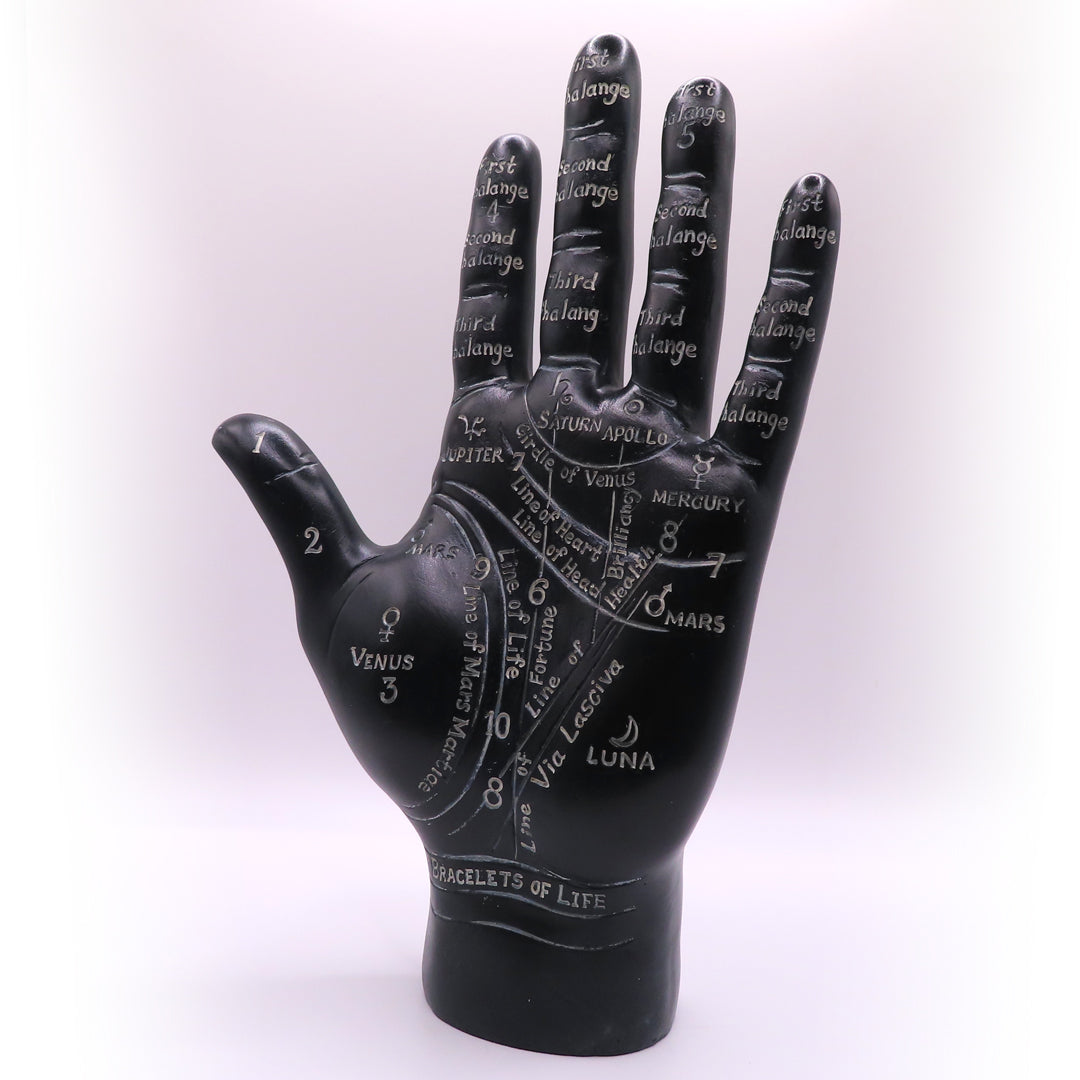 Palmistry Hand