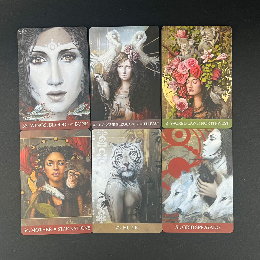 The Medicine Heart Oracle Cards by Alana Fairchild