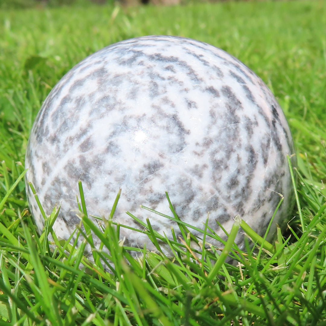 Pink Zebra Jasper Spheres