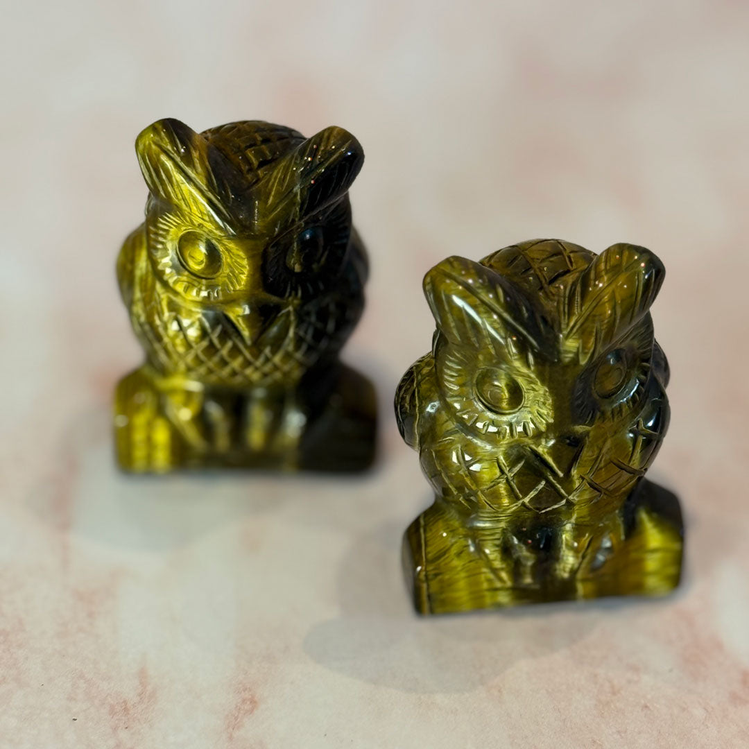 Tigers Eye Owl