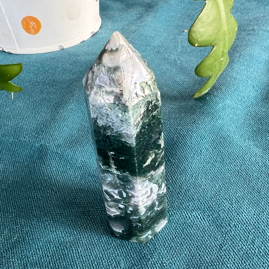 Moss Agate Point