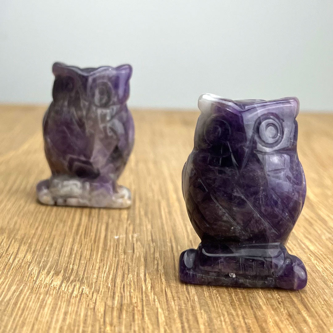 Amethyst Owl