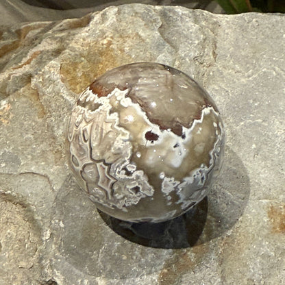 Crazy Lace Agate Spheres