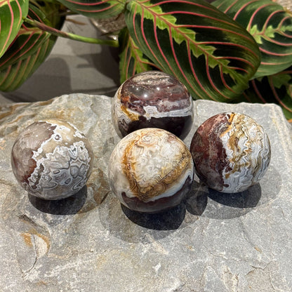 Crazy Lace Agate Spheres