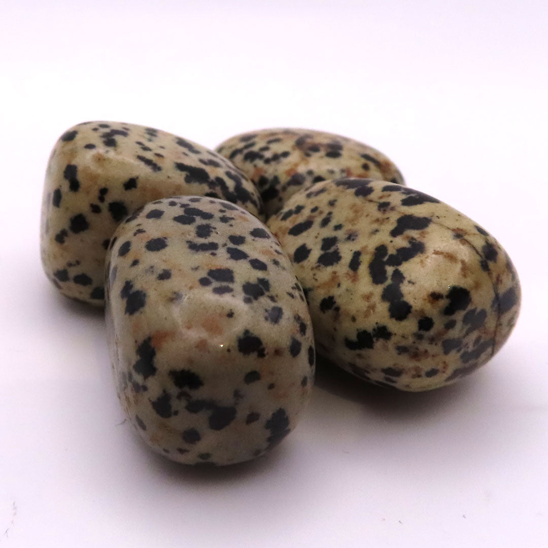 Mix and Match - Dalmatian Jasper Tumble Stone