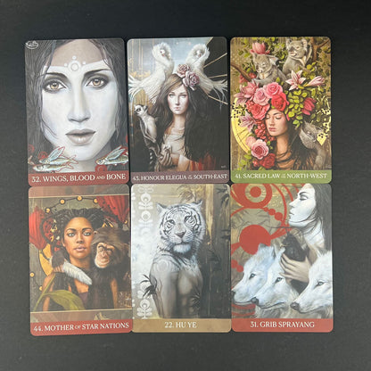 The Medicine Heart Oracle Cards by Alana Fairchild