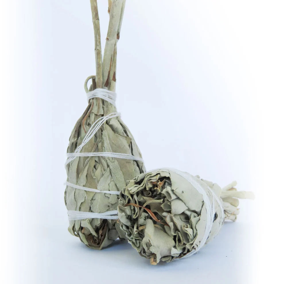 Sage Sticks for Burning