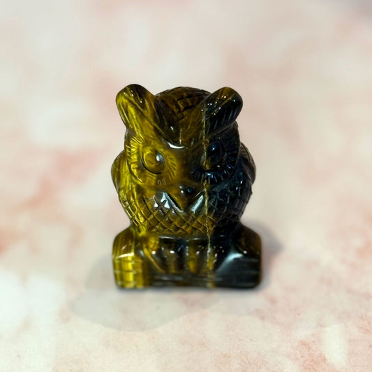 Tigers Eye Owl
