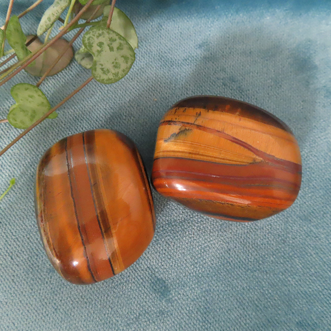 Tigers Eye Tumble Stones