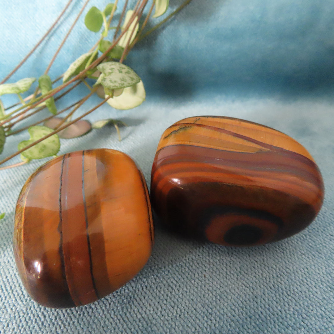 Tigers Eye Tumble Stones