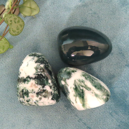 Tree Agate Tumble Stones